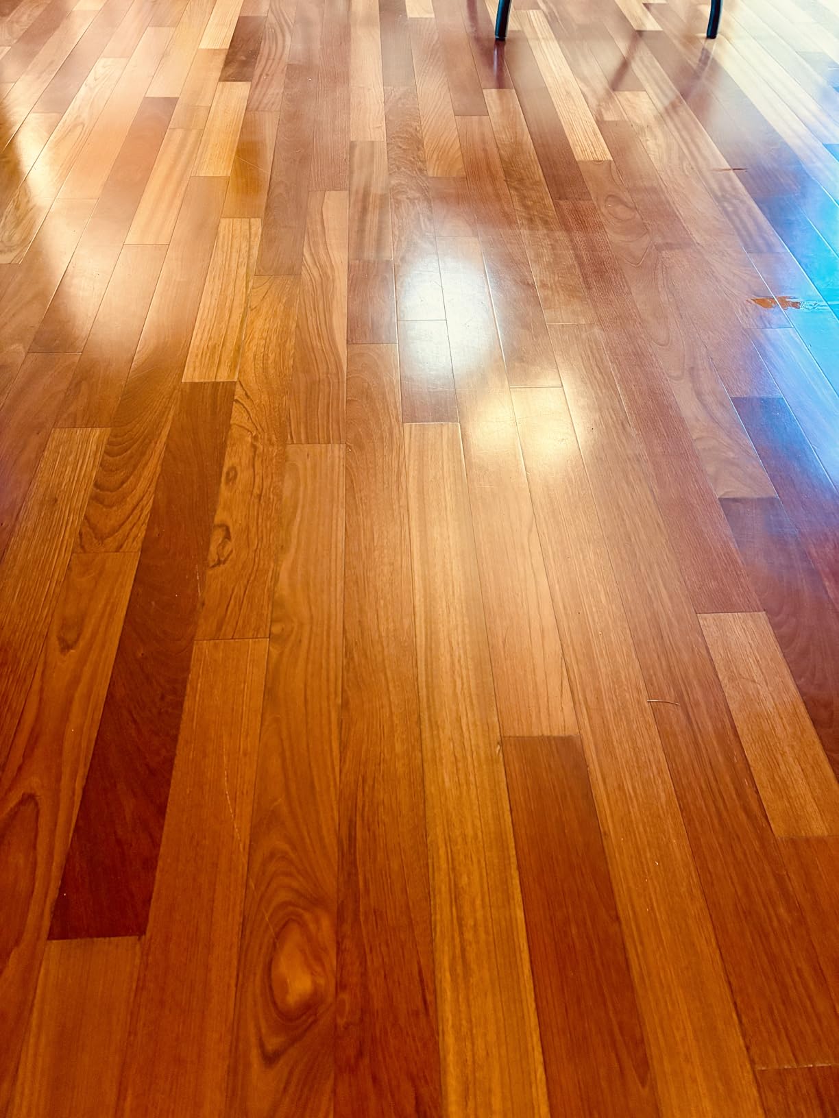 BISSELL SpinWave Hard Floor Expert Corded Spin Mop Cleaner, 20393 | Powerful electric spin mop; washable reusable pads; corded for consistent power on hard floors customer photo 2