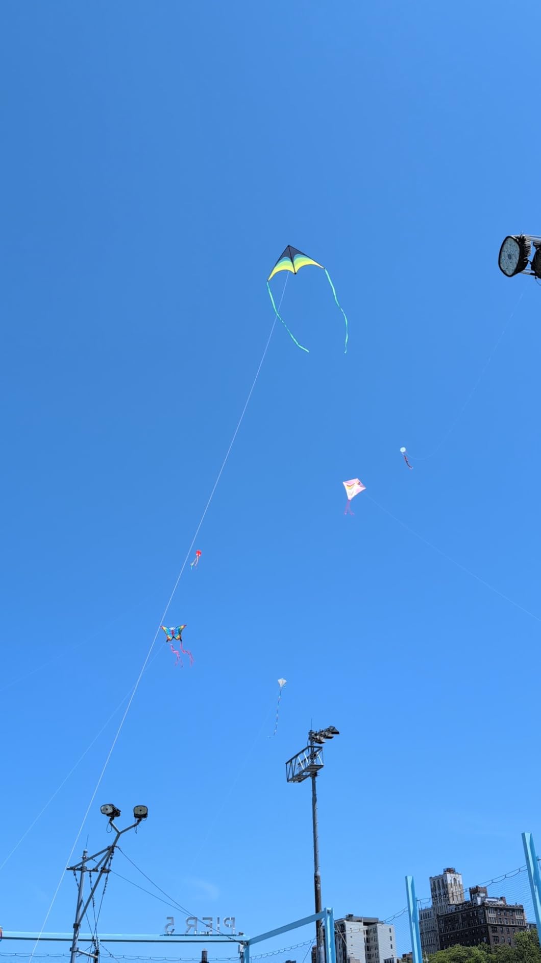 Delta Kite for Kids Ages 4-12, Extremely Easy to Fly Beach Kites for Adults customer photo 1