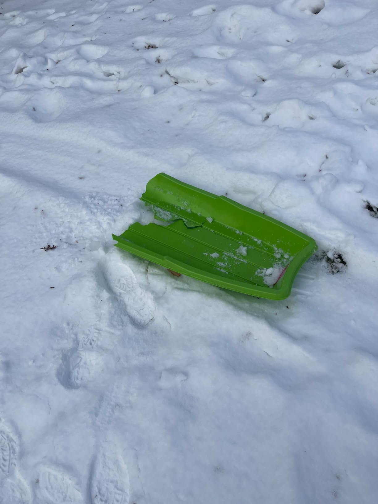 Flexible Flyer Winter Lightning Snow Sleds for Kids and Adults (3-Pack) - 48 Inch Toboggan Style Plastic Sled with Hard Bottom for Fast, Smooth Rides - 1 or 2 Riders (Blue, Green, Orange) customer photo 1