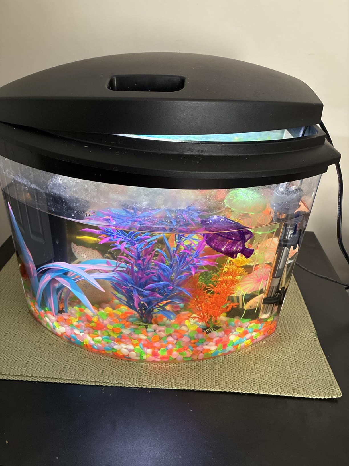 Aqueon LED MiniBow Small Aquarium Fish Tank Kit with SmartClean Technology, Small Fish Tank, Black, 2.5 Gallon customer photo 2