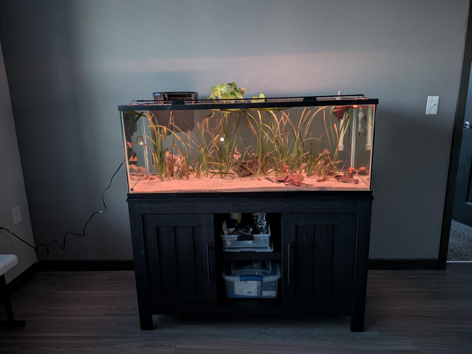 hygger Advanced LED Aquarium Light with Timer, 24/7 Lighting Cycle & DIY Mode, Full Spectrum Fish Tank Light for 30-36 in Freshwater Planted Tank customer photo 2