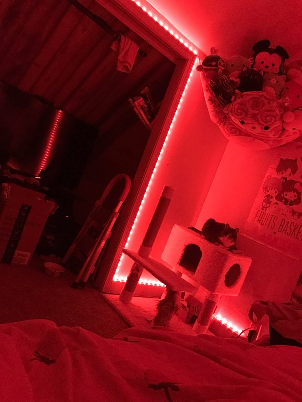 GUPUP LED Lights Strip 100 FT, LED Lights for Bedroom 100ft, RGB Rope Light for Room, Bluetooth APP Control,Color Changing Strip, Sync with Music,para Cuarto, for Bedroom Home Party Decoration customer photo 1