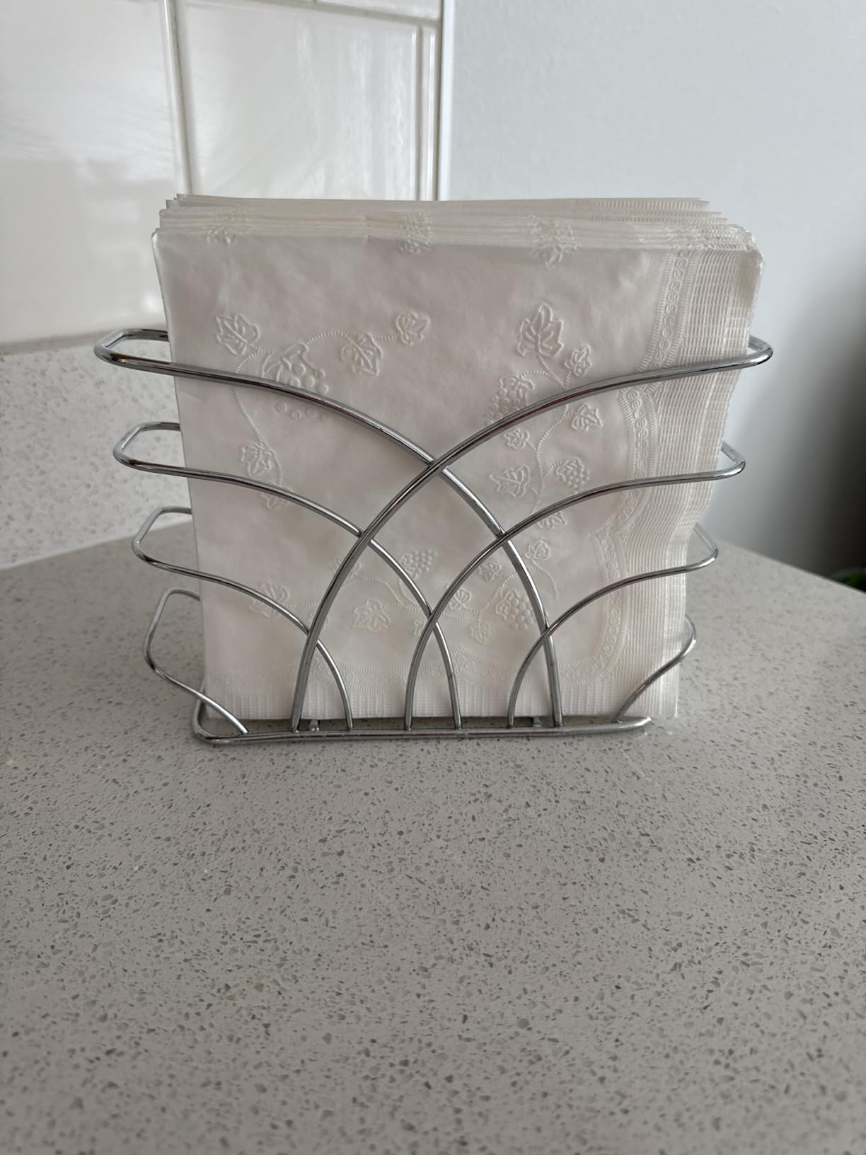 Napkin Holder for Table, Silver Iron Upright Paper Dispenser customer photo 2