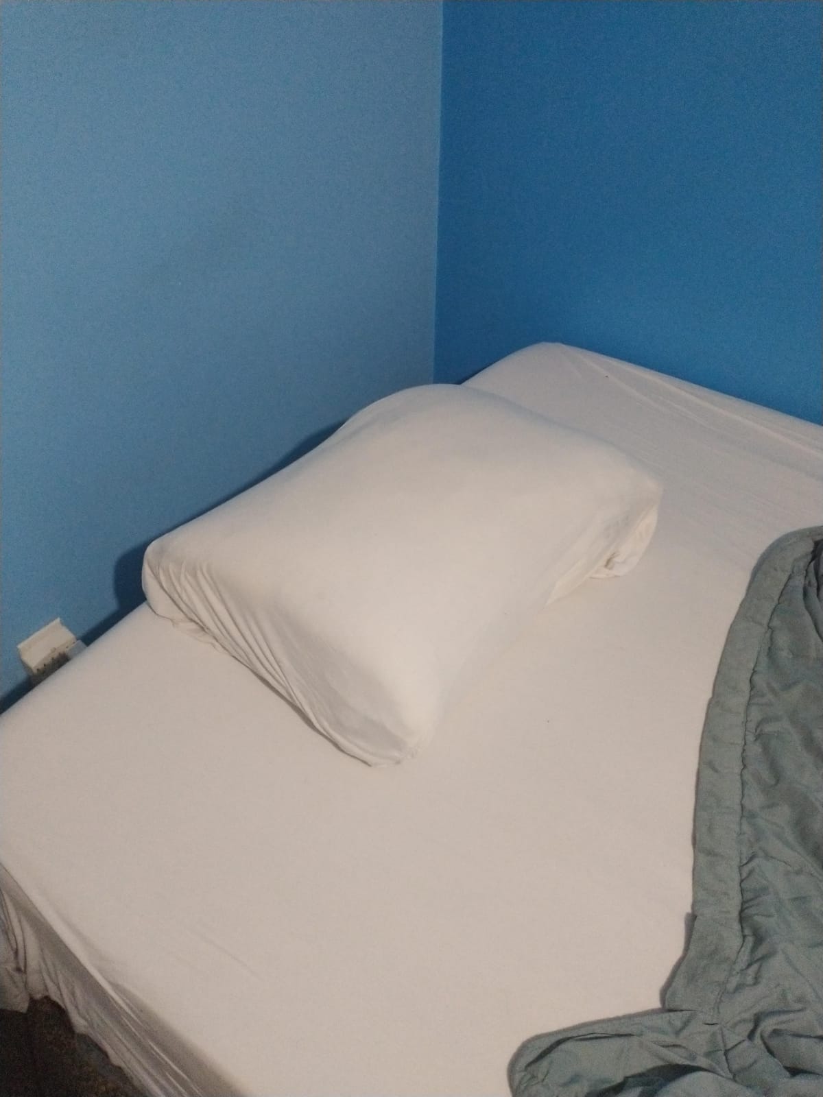 Casper Sleep Original Pillow 2-Pack – King Down-Alternative Bed Pillow customer photo 1