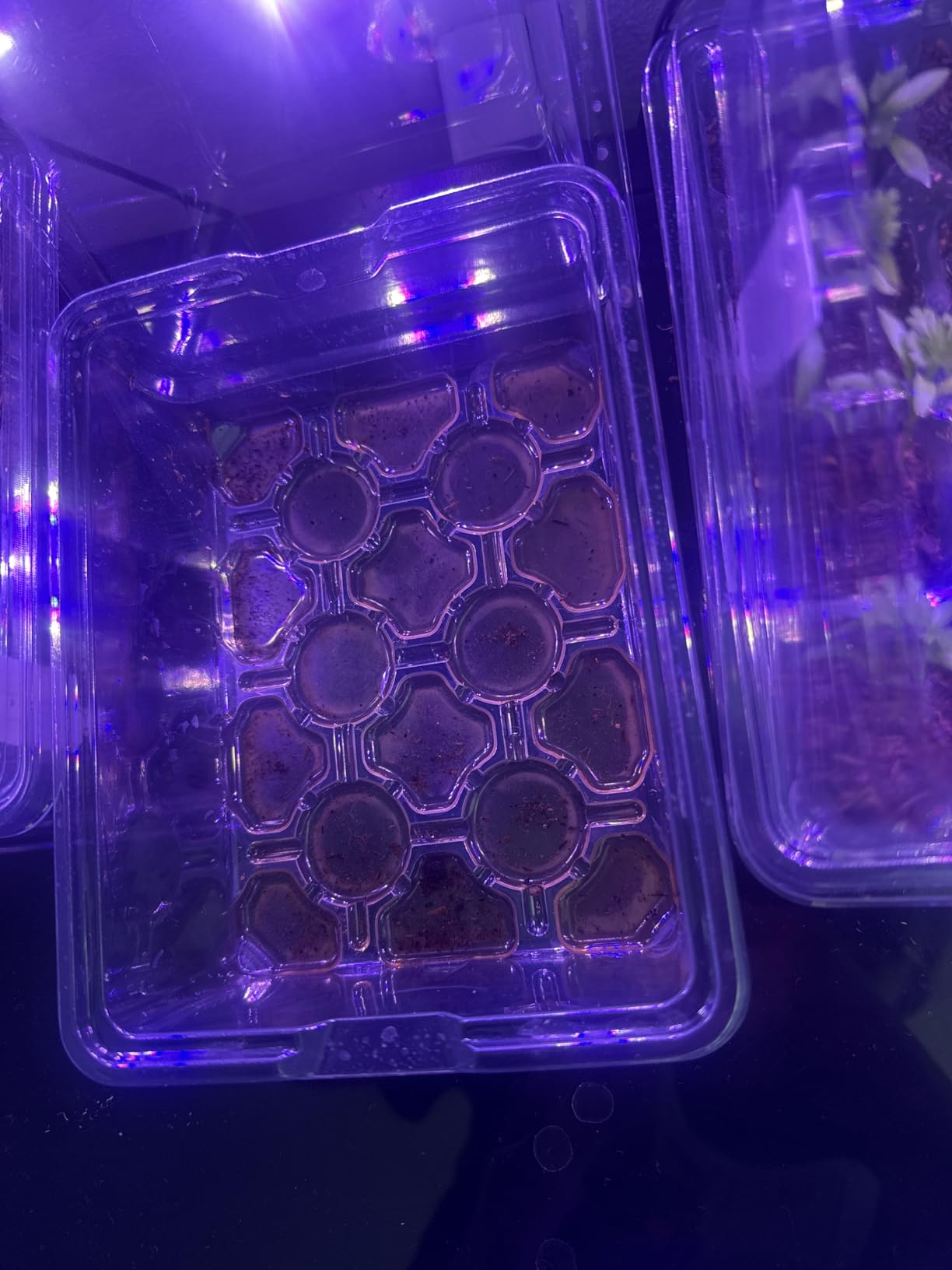 Bonviee Seed Starter Trays with 12-LED Grow Lights, Green, 5 Pack customer photo 2