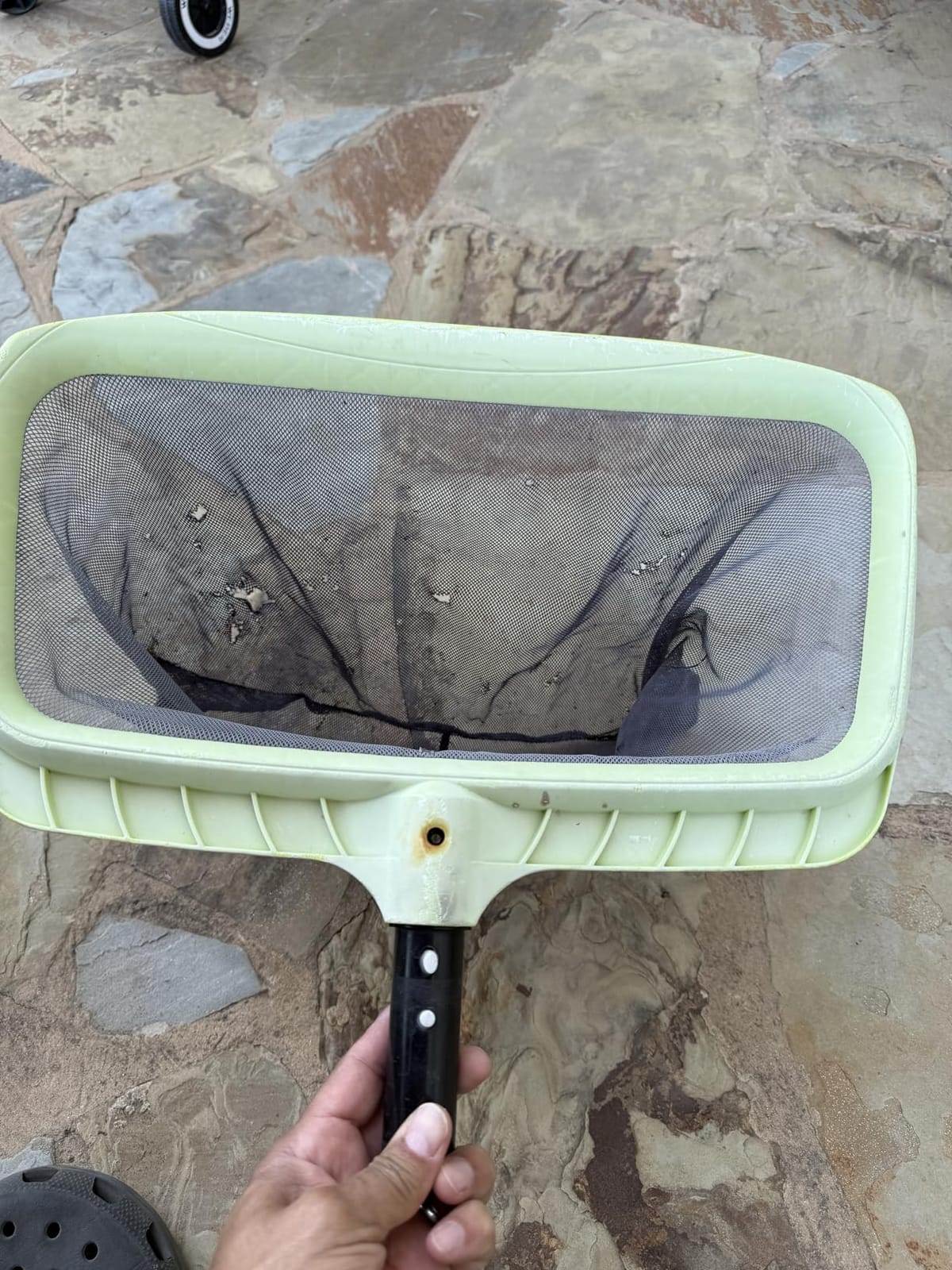 Sepetrel Swimming Pool Leaf Skimmer Net, Reinforced Frame Deep Rake Net customer photo 1