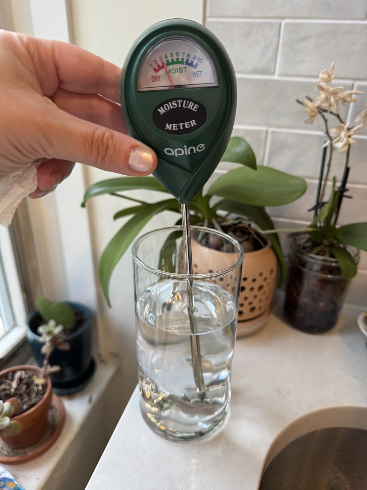 apine Soil Moisture Meter,Plants Moisture Meter,Plant Water Meter for Indoor/Outdoor Plants,Hydrometer for Plants(Green) customer photo 1