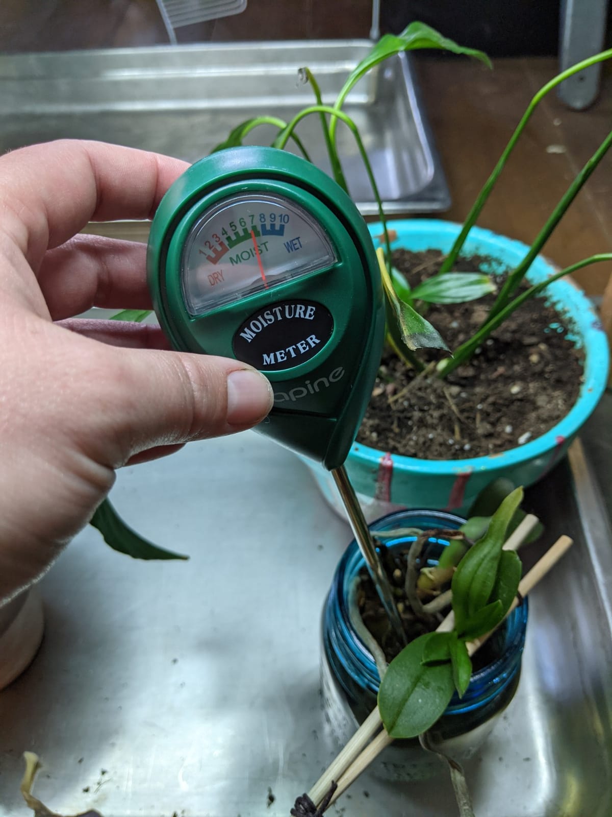 apine Soil Moisture Meter,Plants Moisture Meter,Plant Water Meter for Indoor/Outdoor Plants,Hydrometer for Plants(Green) customer photo 2