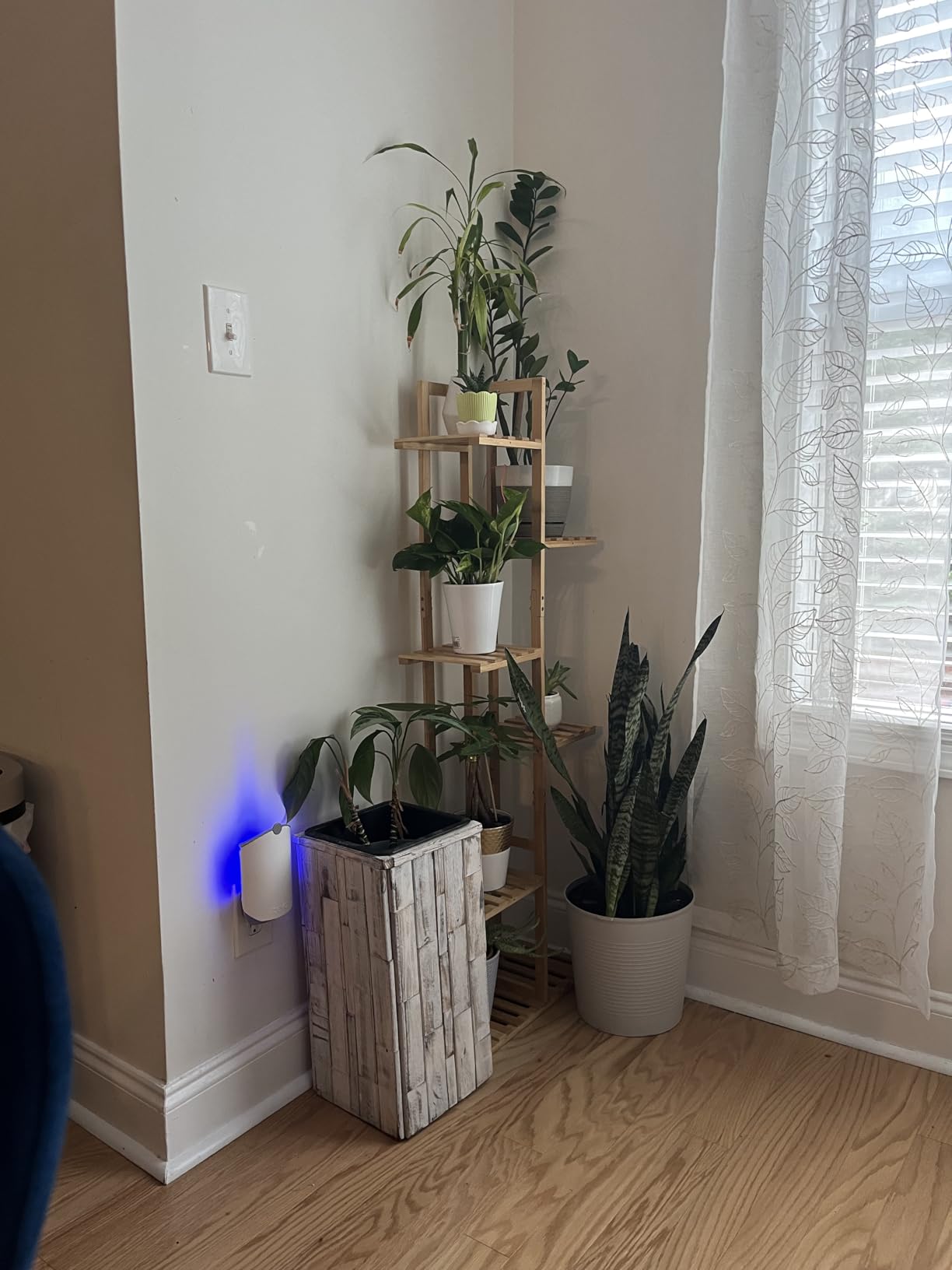 ROSSNY 48 Inch Tall Bamboo Plant Stand for Indoor, 6 Tier 7 Potted, Natural customer photo 2