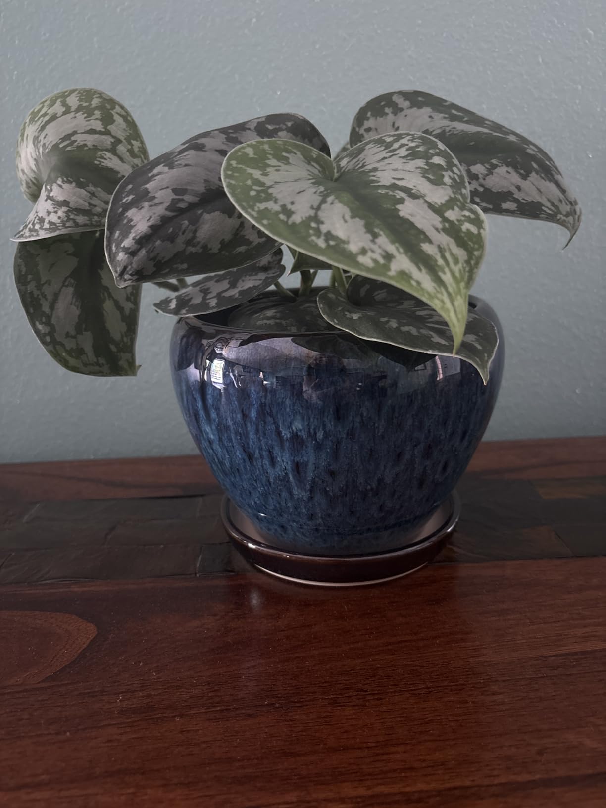 Ceramic Modern Glaze Succulent Planter Pot with Drainage Hole and Saucer 6 Inch Round Flower Plant Pot for Indoor Outdoor Herb Snake Plants customer photo 1
