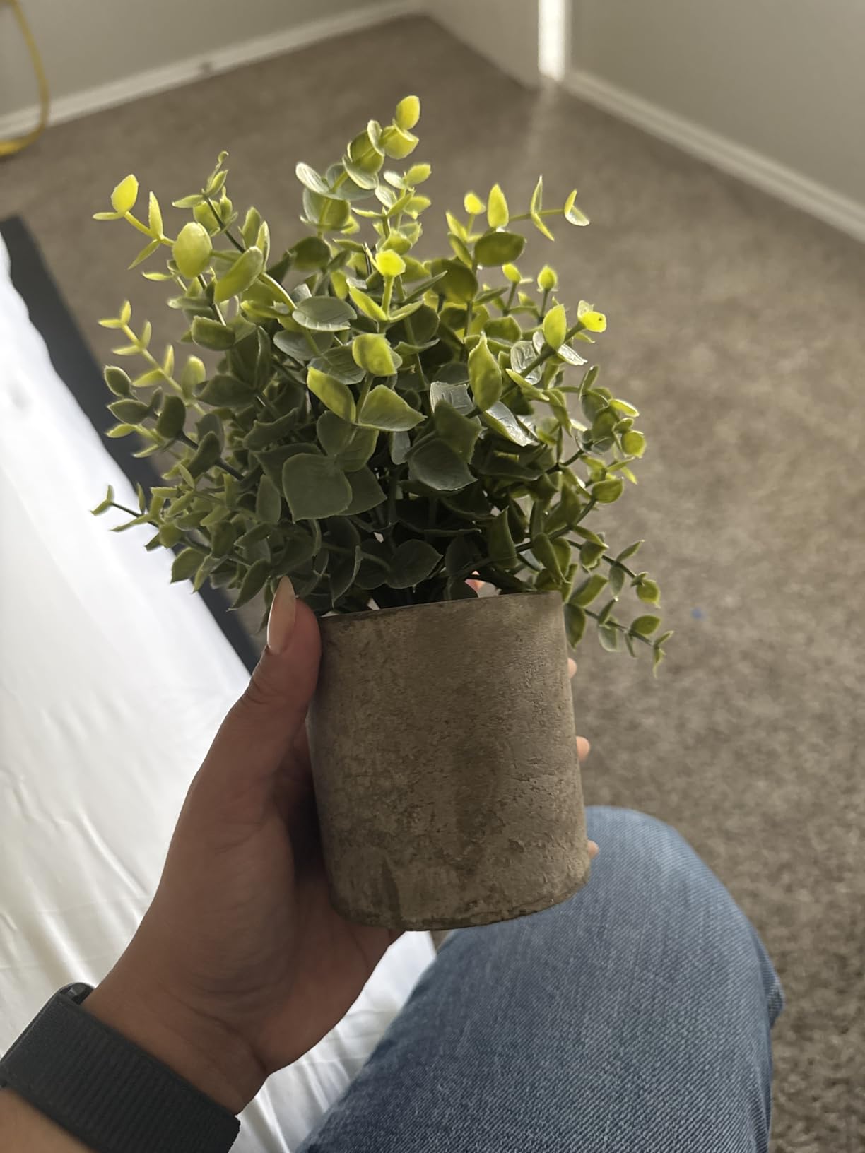 Coferset 2 Pack Small Fake Plants Eucalyptus Potted,Sage Green customer photo 2