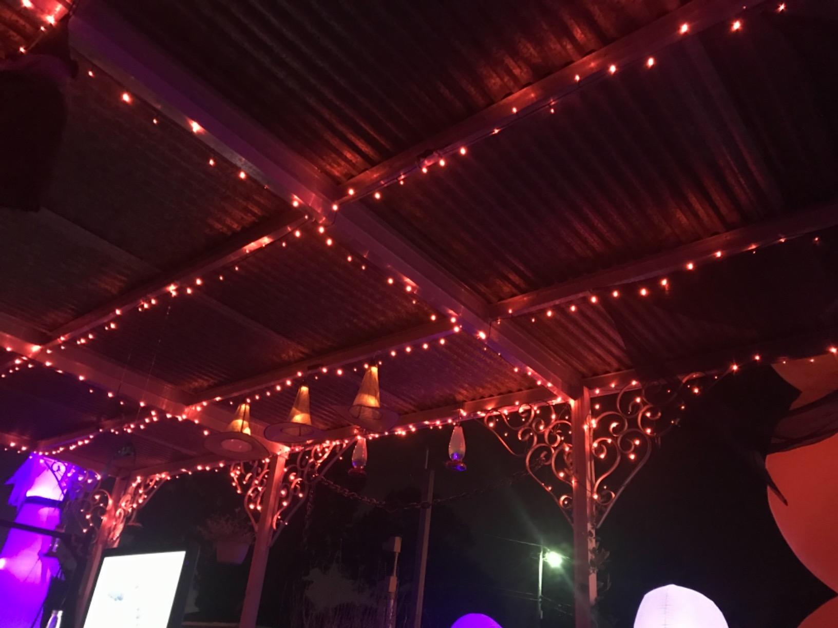 BrizLabs Purple Orange Halloween String Lights Connectable 78.74ft 240 LED customer photo 2