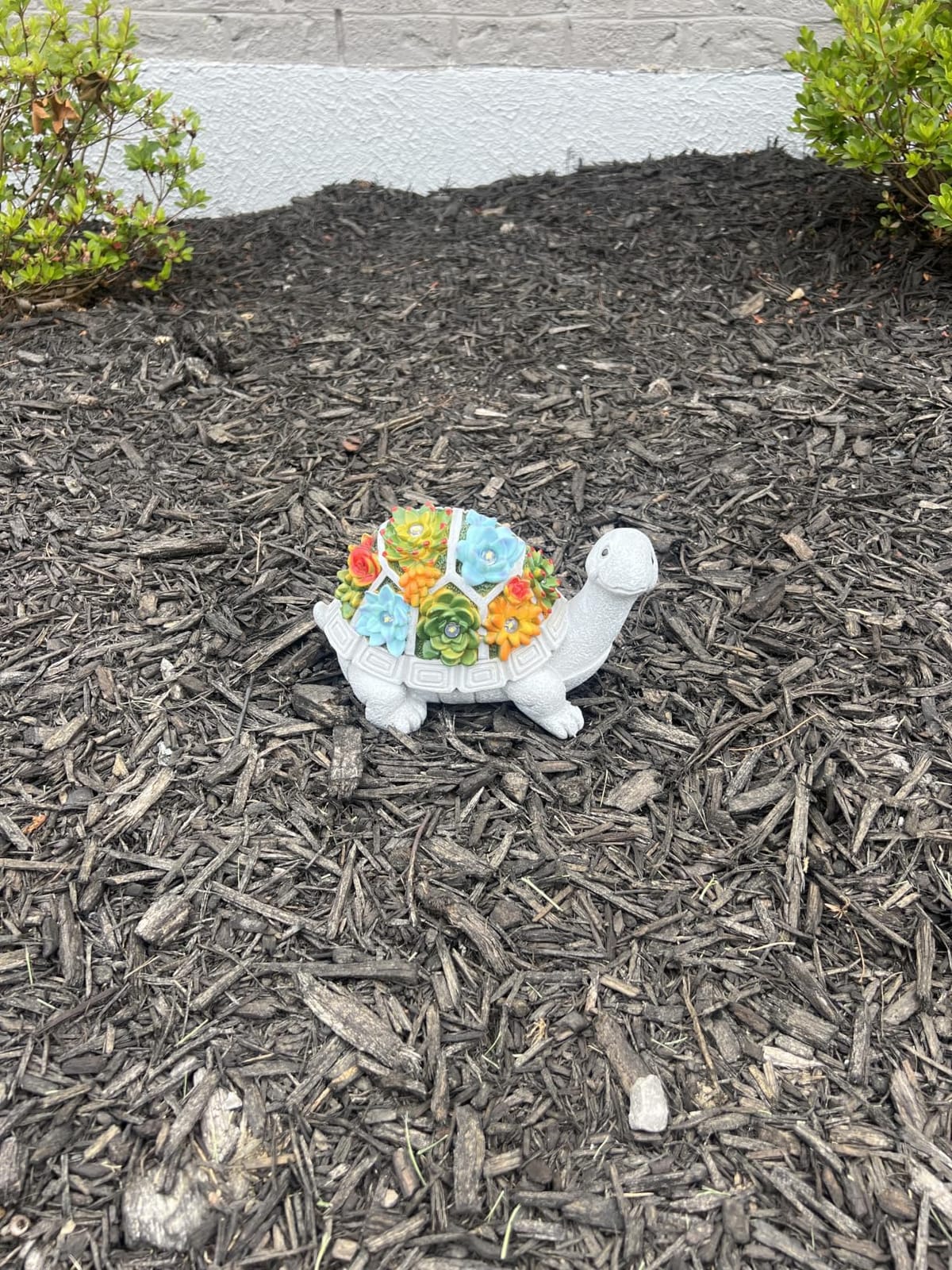 Nacome Solar Turtle Garden Statue - Succulent & 7 LED Lights, Outdoor Decor customer photo 2