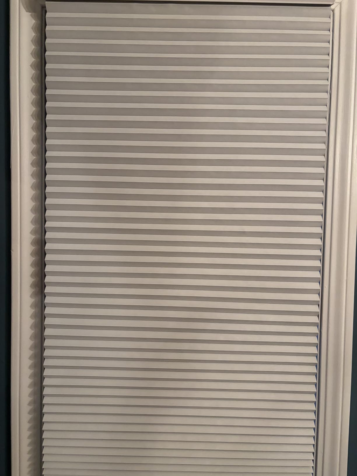 MYshade Cordless Blackout Cellular Shades for Windows, Honeycomb Window Shades with Thermal Insulation, Child & Pet Safe Room Darkening Shade, Easy Install, 34