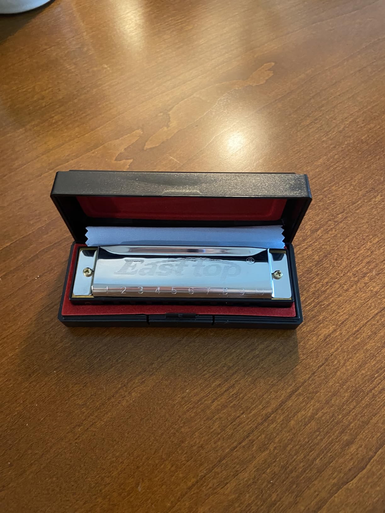 East Top Harmonica, C Key Blues Harmonica for Beginners and Adults, Kids and Teenagers, 10 Holes Mouth Organ For Students as Gift customer photo 1