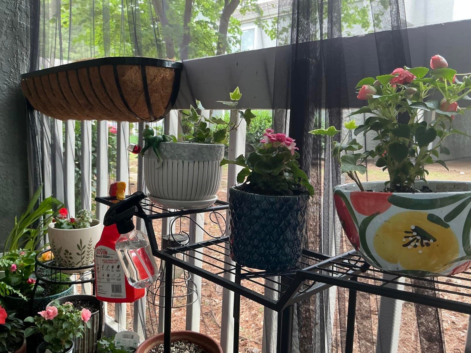 Ceramic Plant Pots,Sunflower Planters with Drainage Holes & Matching Saucer customer photo 2
