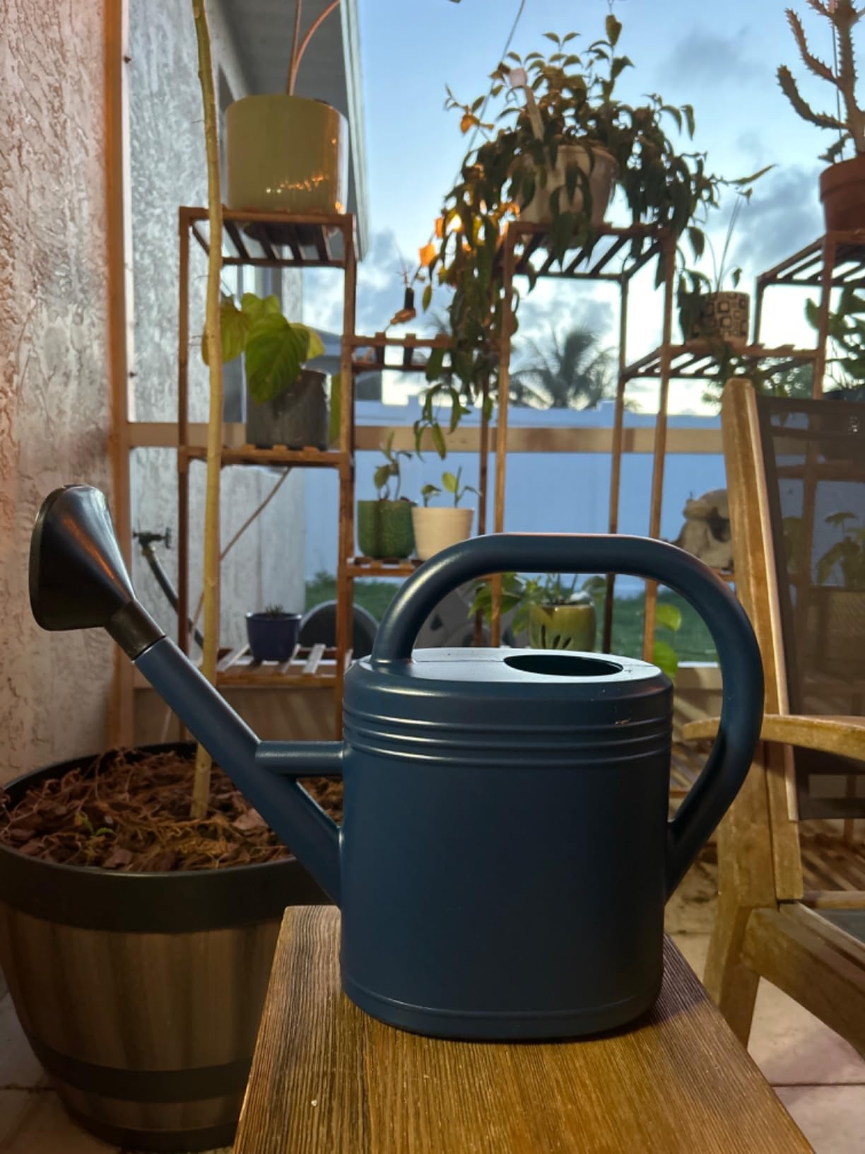Watering Can 1 Gallon for Indoor Plants, Garden, Outdoor Plant House Flower, Gallon Large Long Spout with Sprinkler Head (Blue) customer photo 1