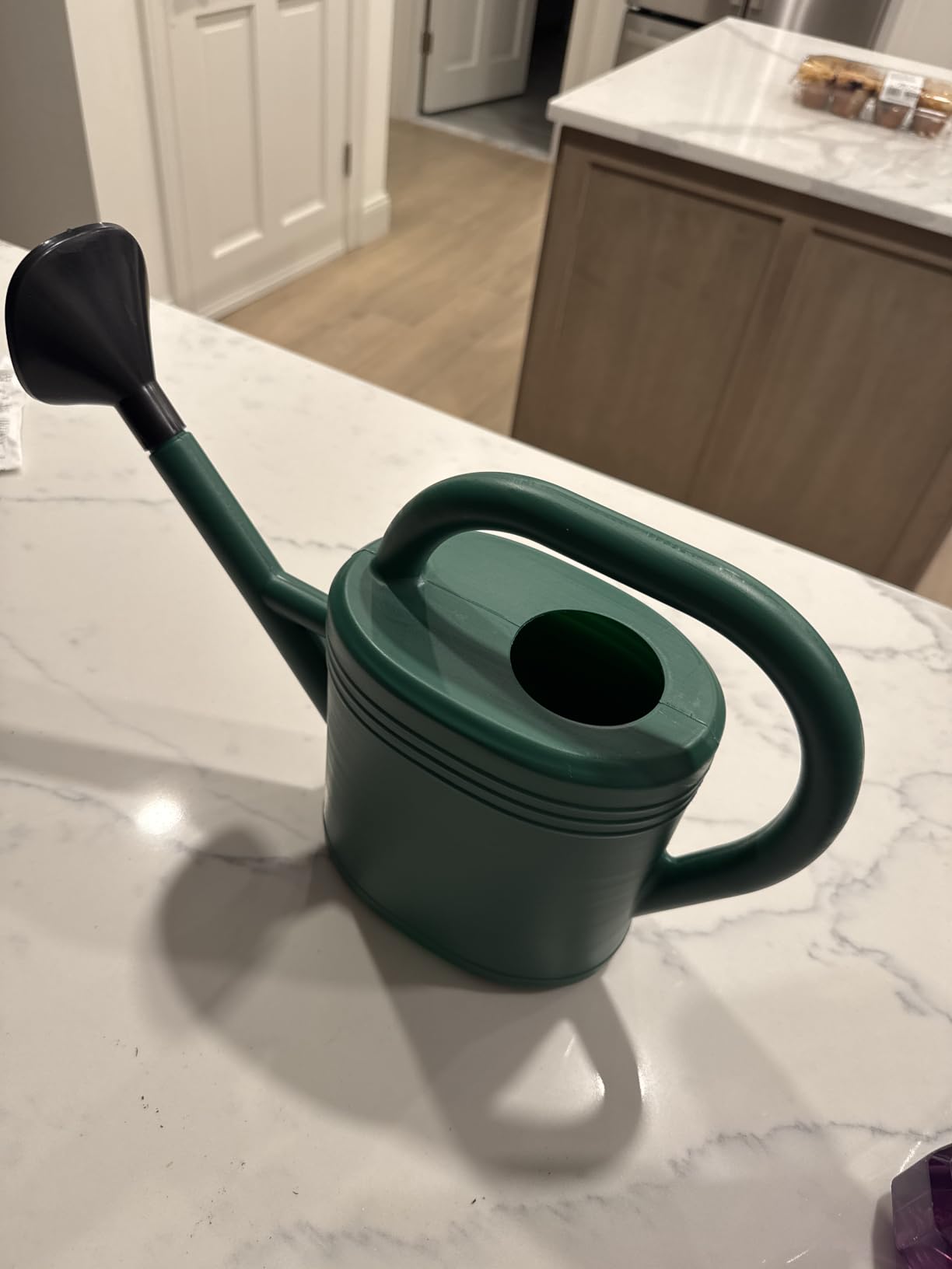 Watering Can 1 Gallon for Indoor Plants, Garden, Outdoor Plant House Flower, Gallon Large Long Spout with Sprinkler Head (Blue) customer photo 2