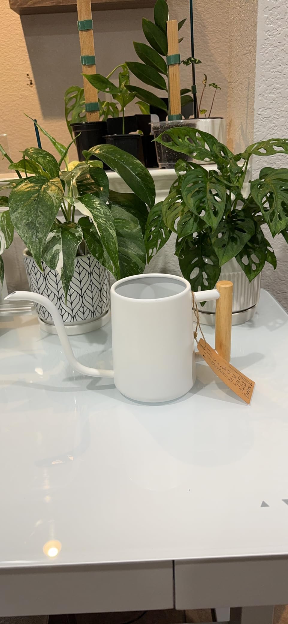 Metal Small Indoor Watering Can with Long Spout & Real Wood Handle, 35oz customer photo 2