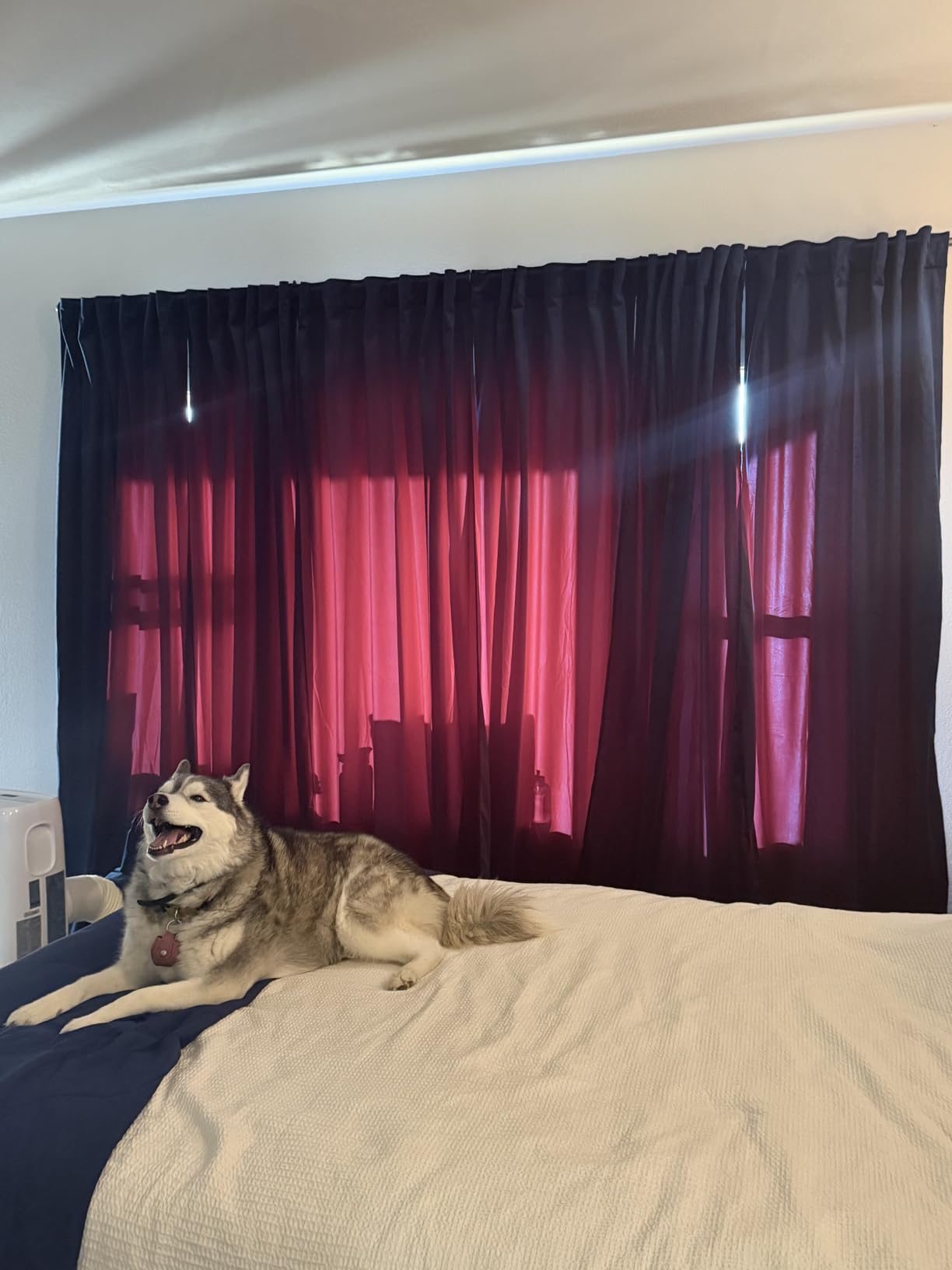 RYB HOME Blue Velvet Blackout Curtains for 84 inches Bedroom Living Room | Thermal Insulated, Privacy UV Block, Noise Reducing, Energy Saving, Luxury Window Decor for Kids, W52 x L84, Navy, 2 Panels customer photo 1
