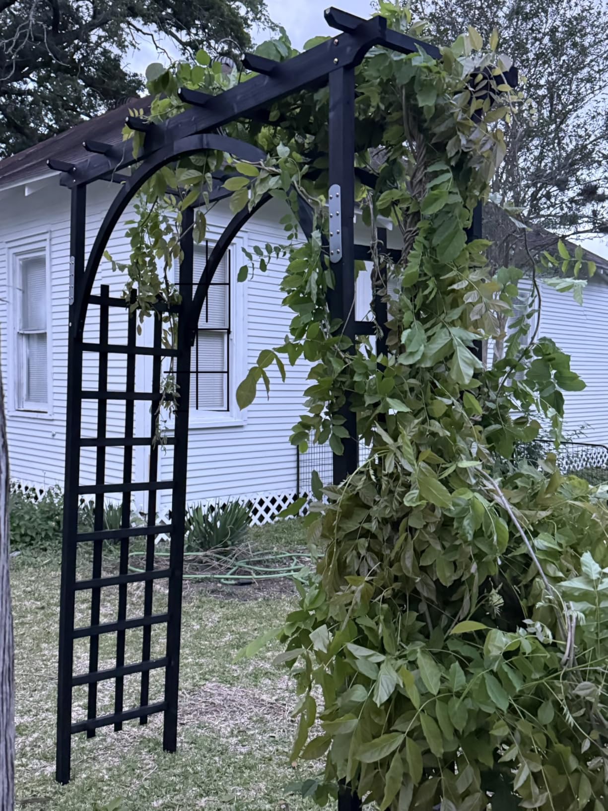 VINGLI 85in Wooden Arbor Garden Arch, Wedding Arch for Ceremony, Wood Trellis for Plant Climbing, Christmas Decor Pergola for Garden Backyard, Lawn customer photo 2