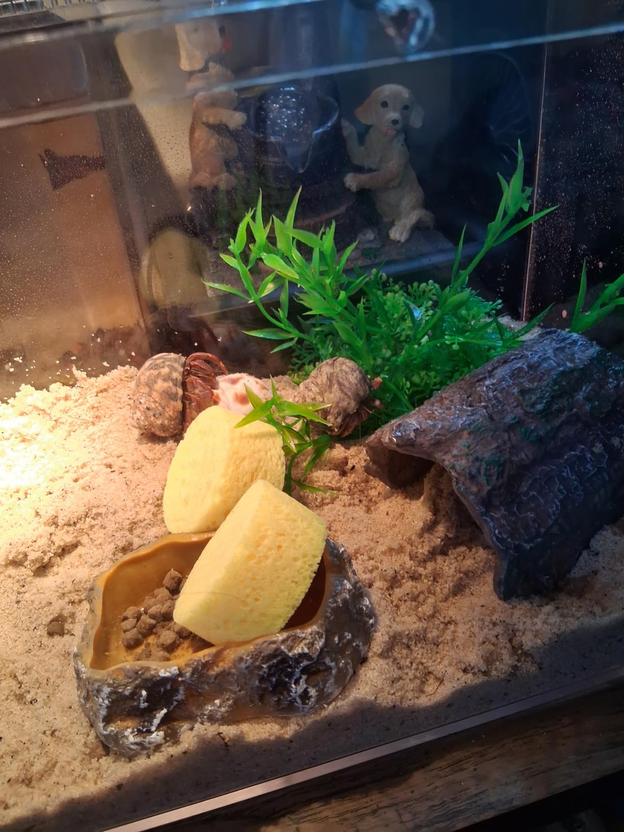 HELIME Reptile Tank 7 Piece Starter Kit with Escape Proof Locking Lid Small customer photo 1
