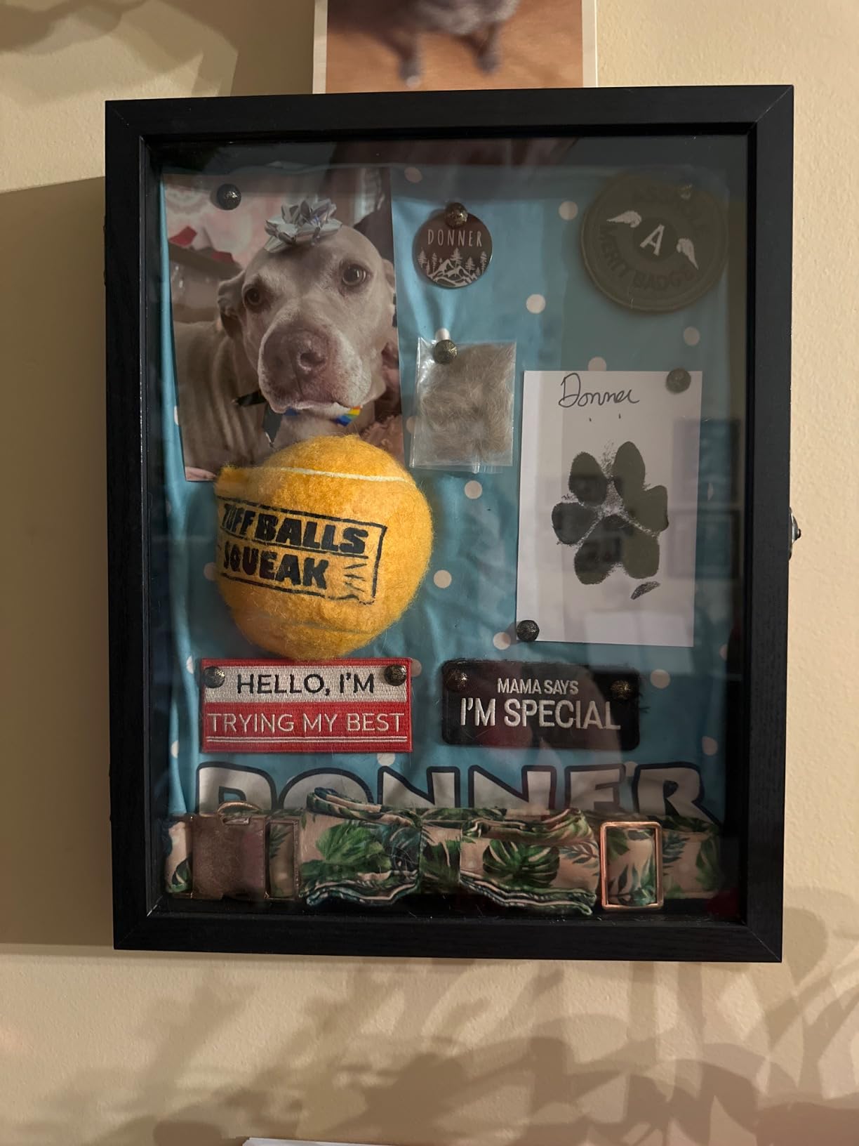Large Shadow Box Frame 11x14 Display Case, Wood Wedding Bouquet Memory Box customer photo 1
