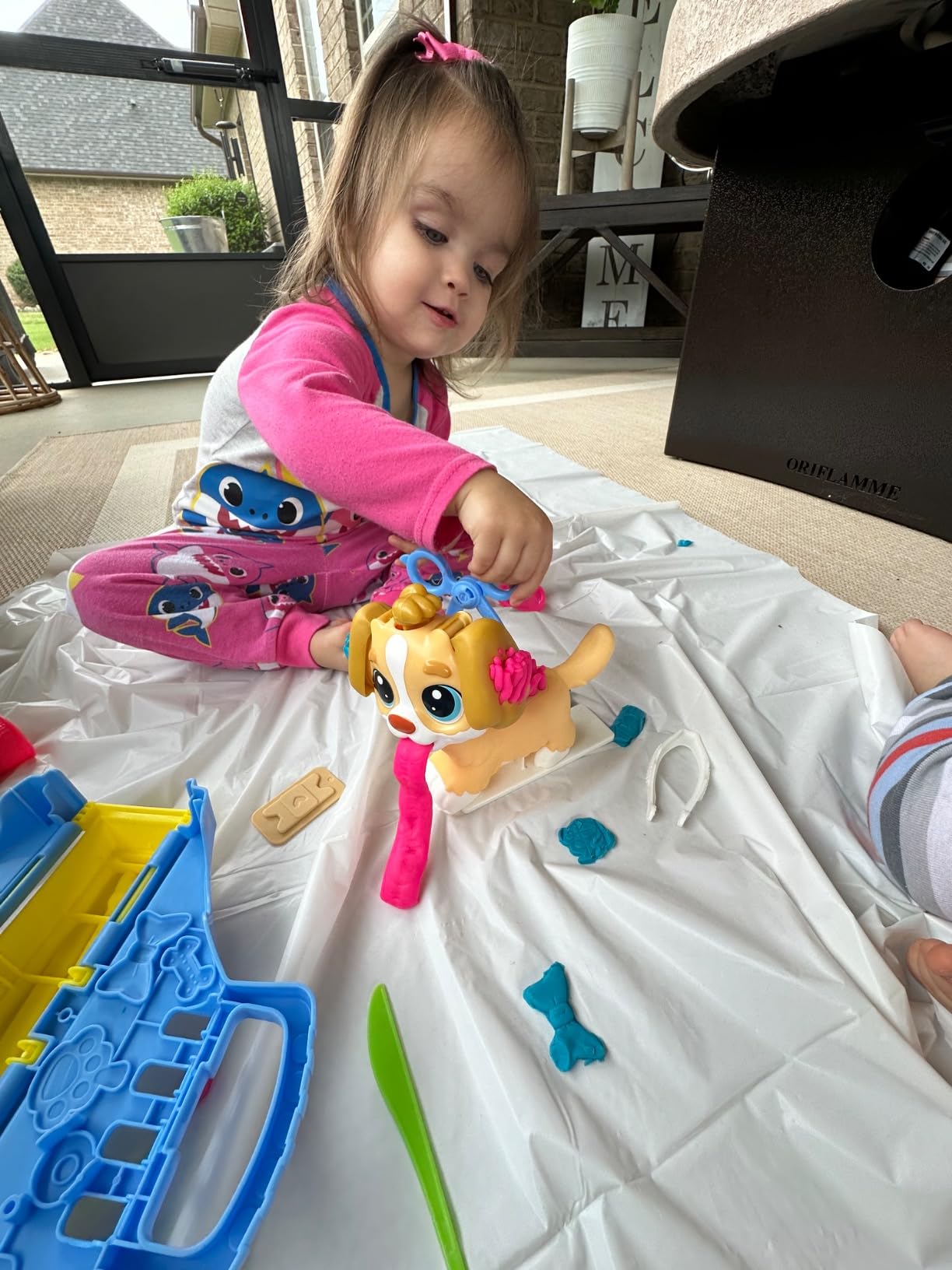 Play-Doh Care 'n Carry Vet Playset for Kids 3 Years and Up with Toy Dog, Storage, 10 Tools, and 5 Modeling Compound Colors, Non-Toxic customer photo 1