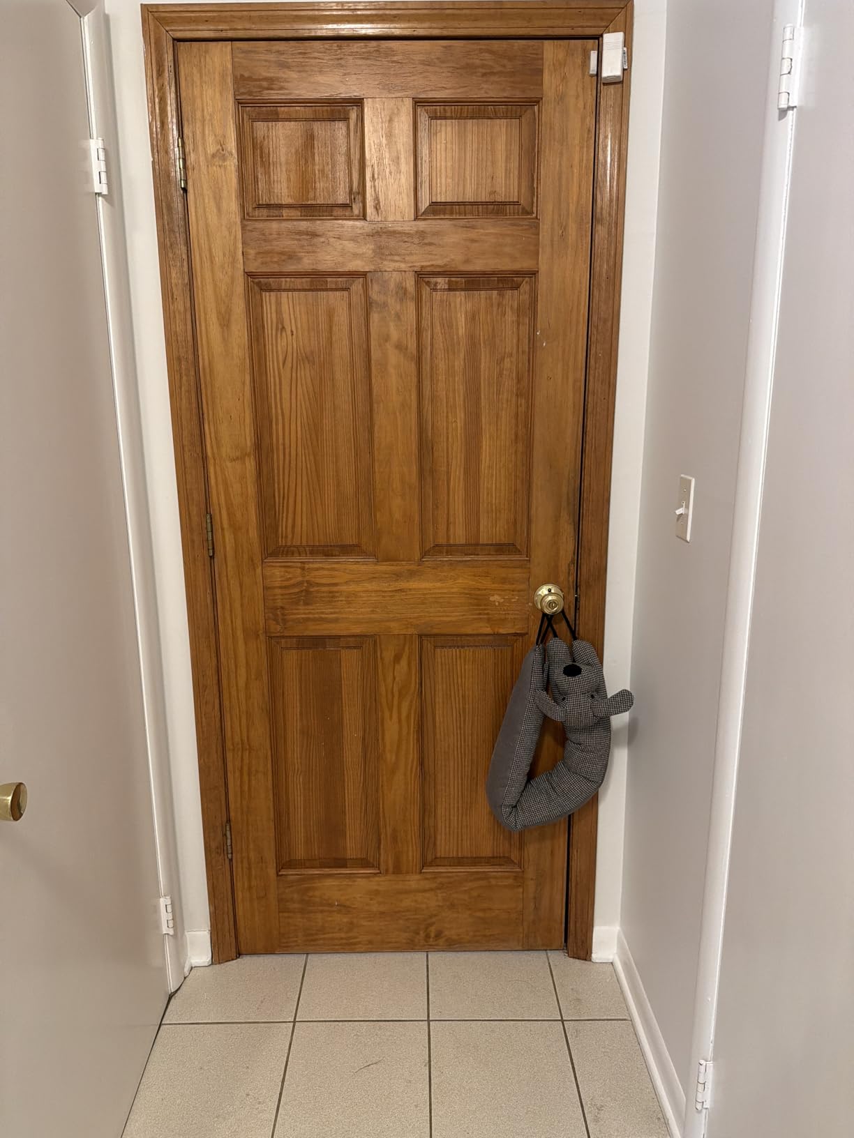 Marwood Under Door Draft Stopper Decorative Wind Stopper 36 inch for Door & Window, Weighted Animal Air Draft Stopper for Bottom of Door with Hanging Loops - Brown Dog customer photo 2