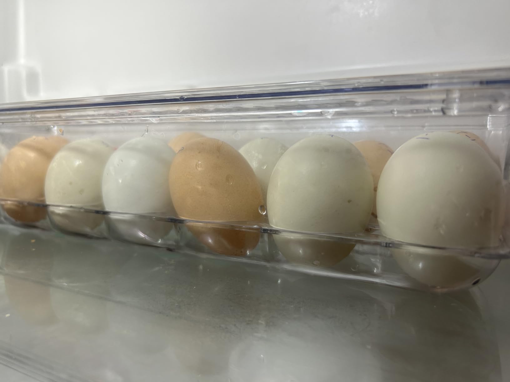 Utopia Home Egg Holder for Fridge, Stackable Egg Container, 2 Pack, Clear customer photo 1