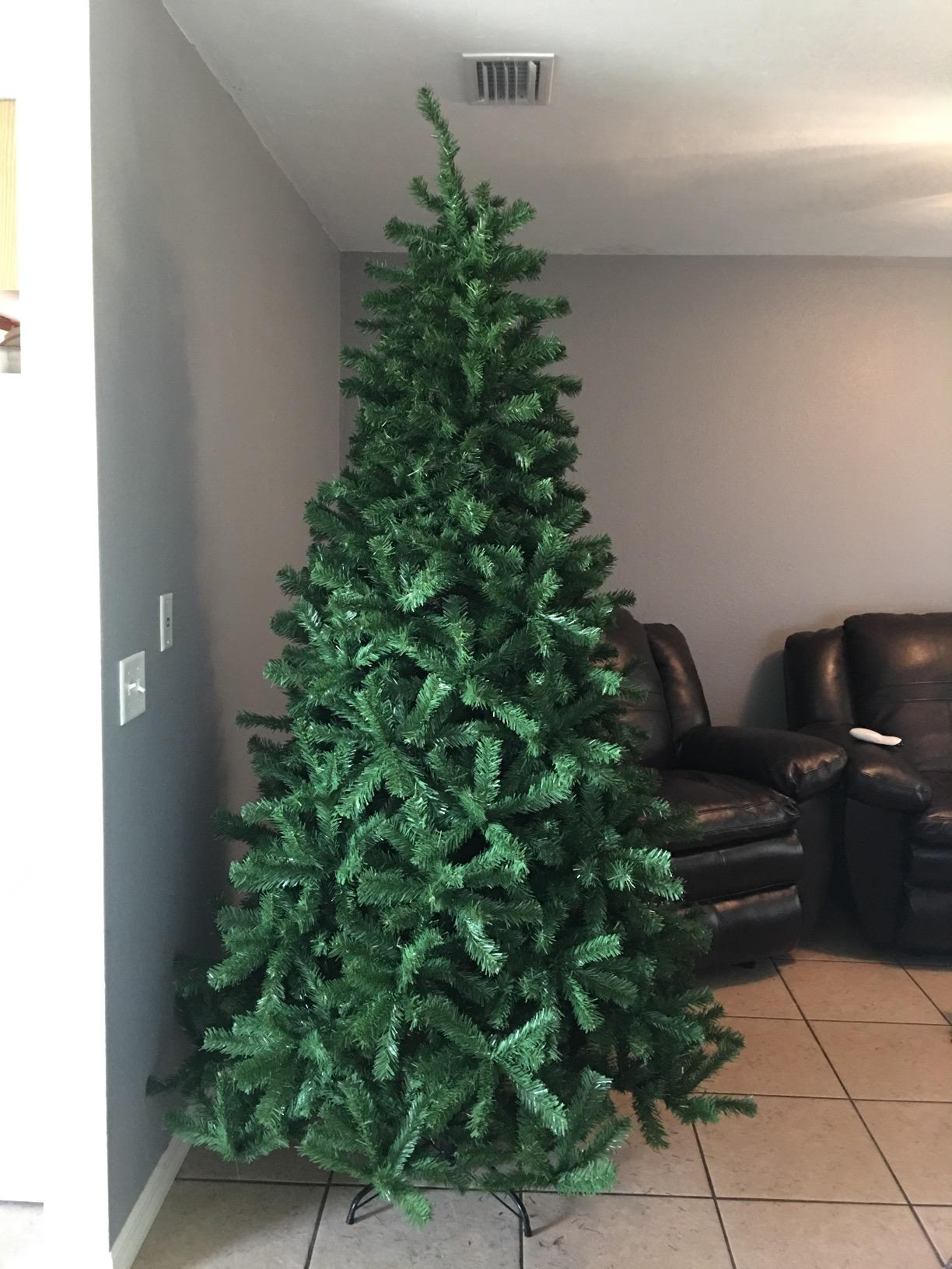 Best Choice Products Artificial Christmas Tree, 6ft Premium Unlit Realistic Spruce Holiday Décor w/Dense Branches, Easy Assembly, Metal Base customer photo 1