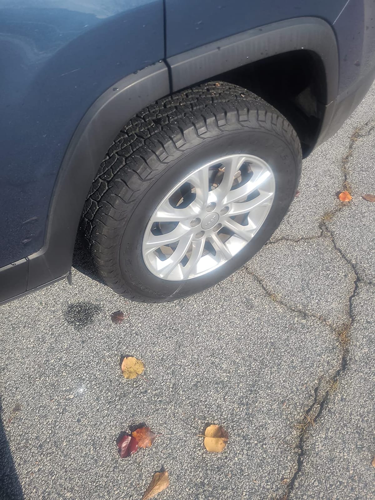 BFGoodrich Trail-Terrain T/A On and Off-Road Tire for Light Trucks, SUVs, and Crossovers, 265/70R17 115T customer photo 1