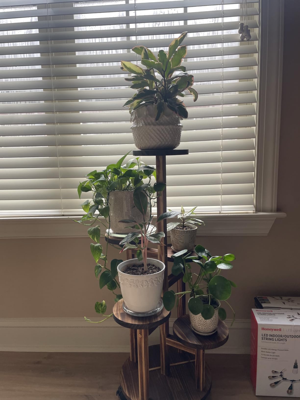 GEEBOBO 5 Tiered Tall Plant Stand for Indoor customer photo 2