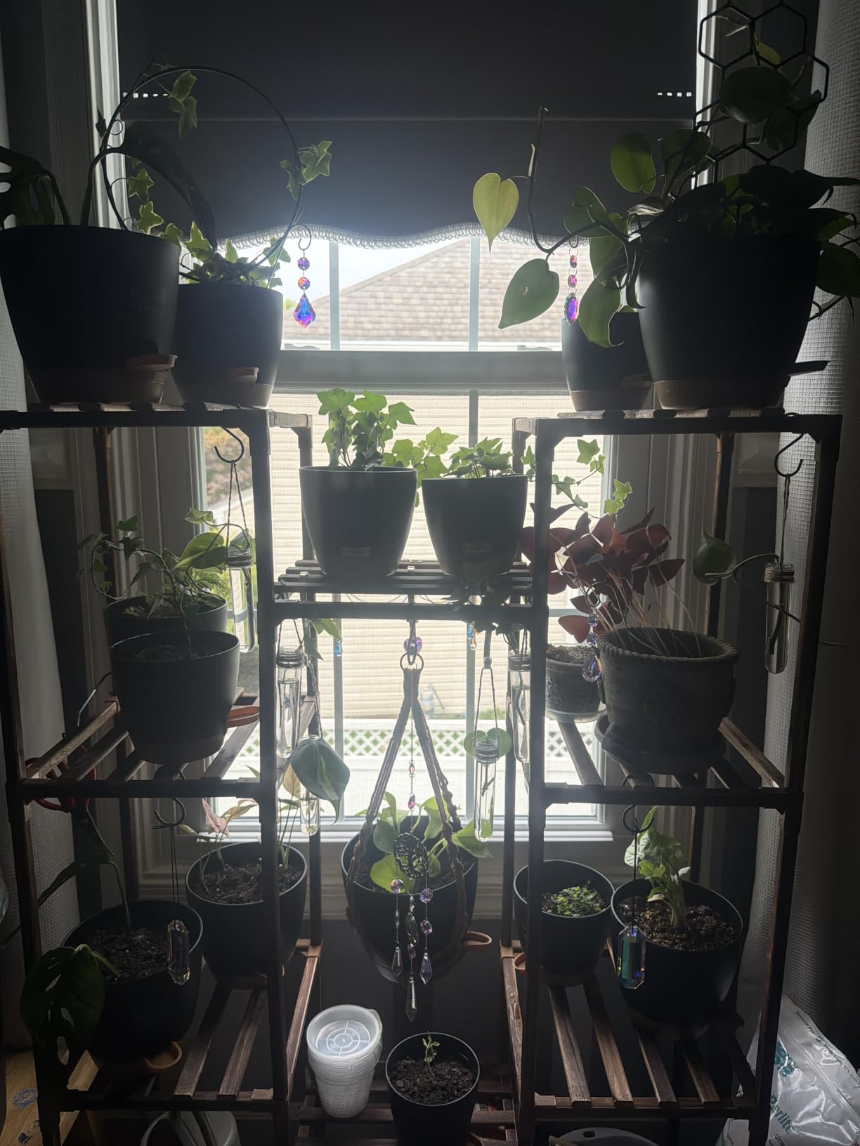 Uneedem Plant Stand Indoor Outdoor, 10 Tiered Plant Shelf Wood Plant Rack customer photo 1