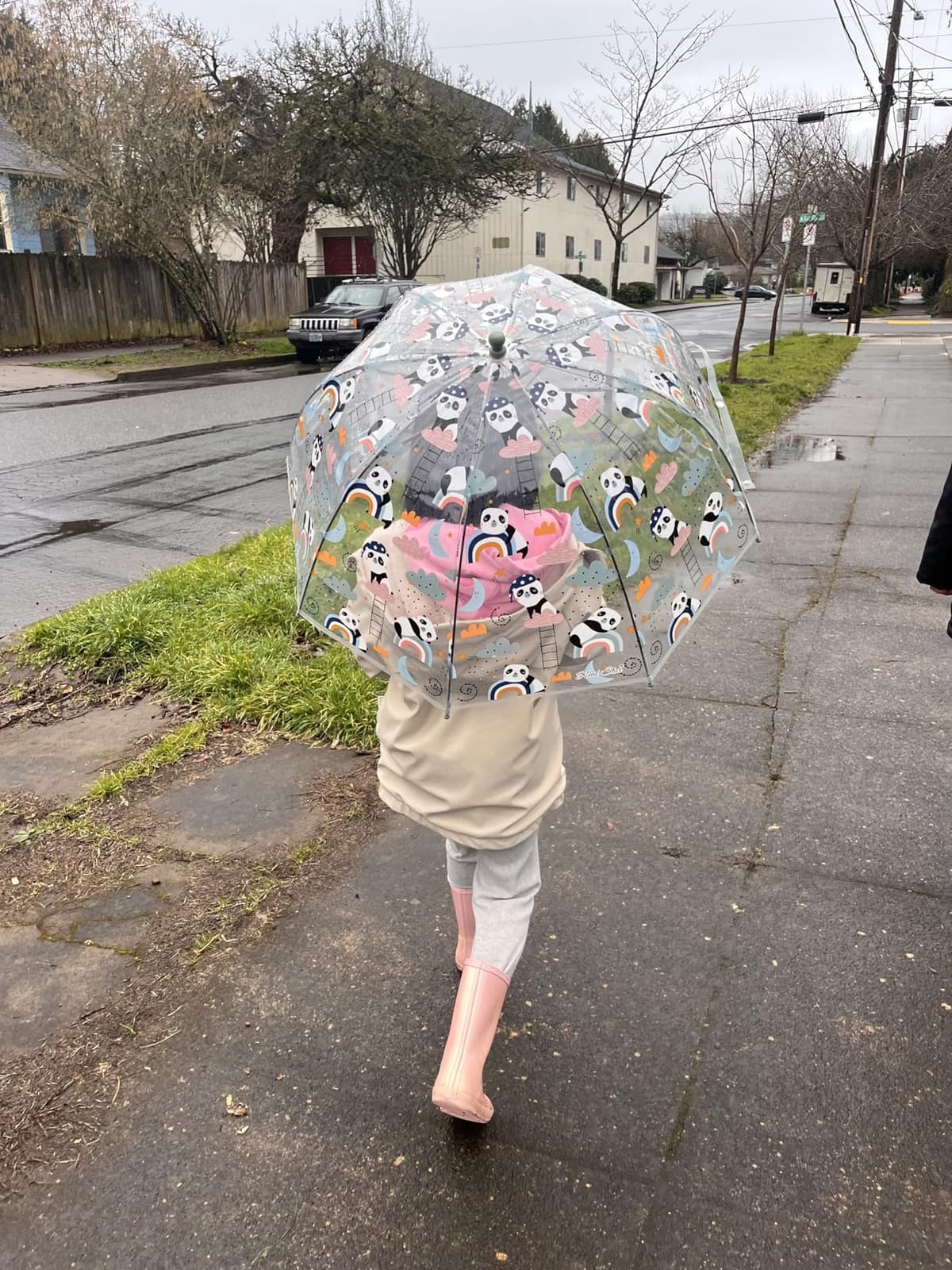 MRTLLOA Kids Clear Umbrella, Bubble Dome for Rain customer photo 1