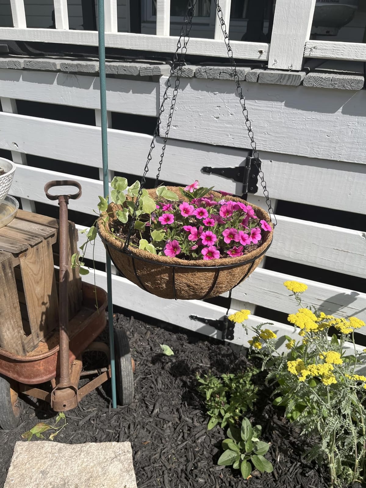 ZeeDix 2 Pack 14 Inch Hanging Baskets for Plants Outdoor, Metal Wire Round Planters with Coco Liner, Hanging Flower Baskets for Home Garden Porch Balcony Railings Decor customer photo 2