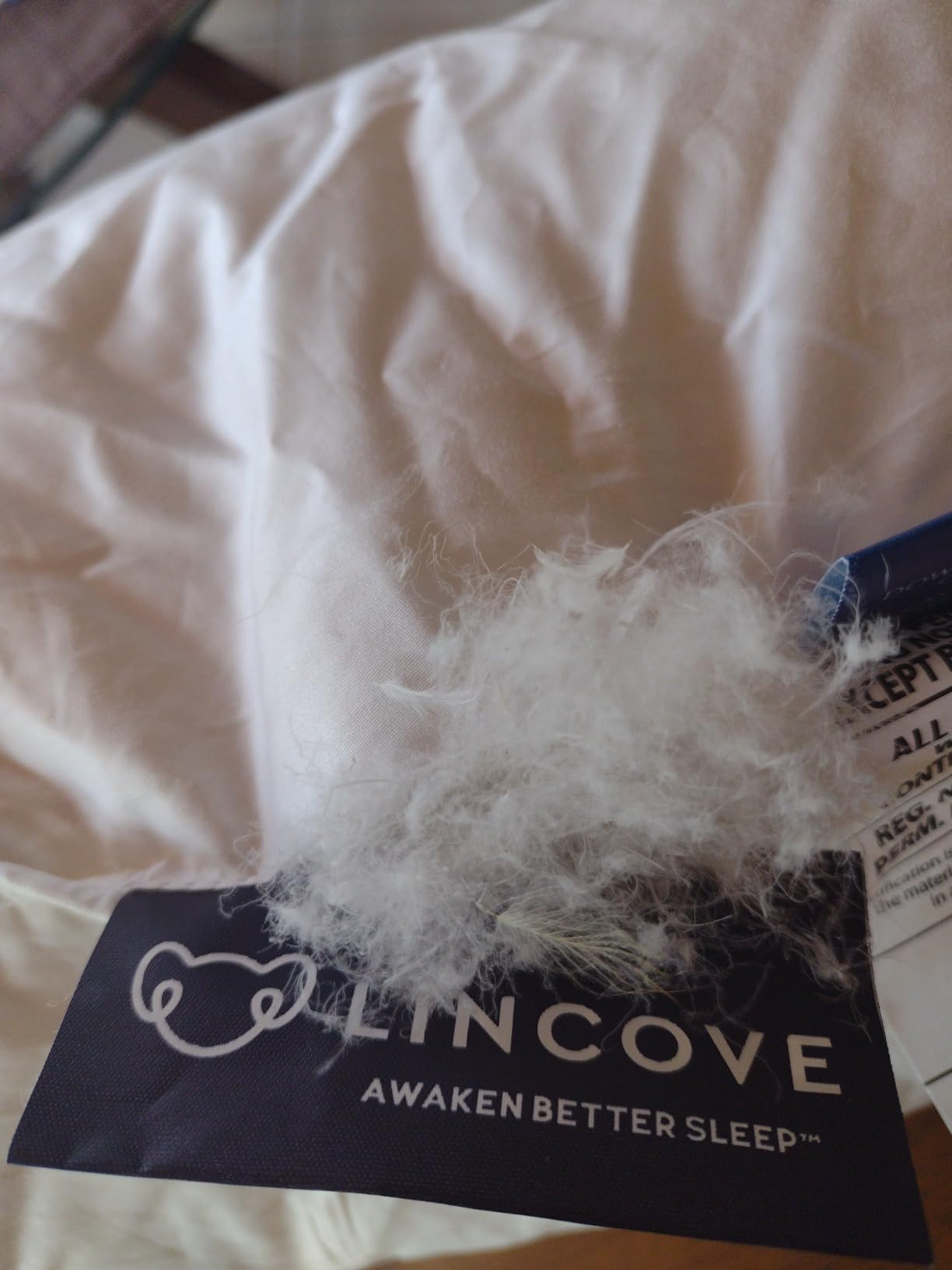 Lincove Cloud Natural Canadian Down Pillow, White Luxury Sleeping Pillow - 625 Fill Power, 500 Thread Count Cotton Shell, Made in Canada, Queen - Medium, 1 Pack customer photo 1