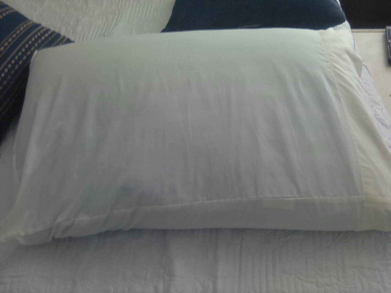 Lincove Cloud Natural Canadian Down Pillow, White Luxury Sleeping Pillow - 625 Fill Power, 500 Thread Count Cotton Shell, Made in Canada, Queen - Medium, 1 Pack customer photo 2