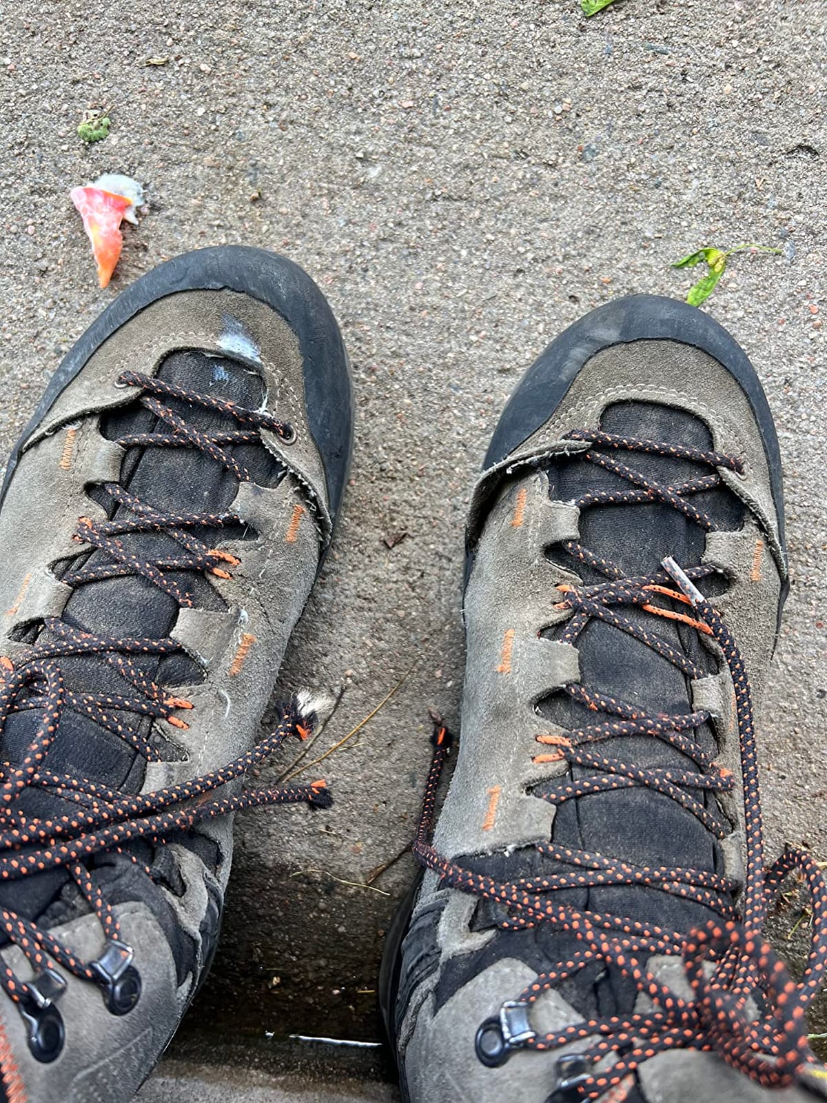 Salewa Men's Mountain Trainer 2 Mid GTX Hiking Boots customer photo 2