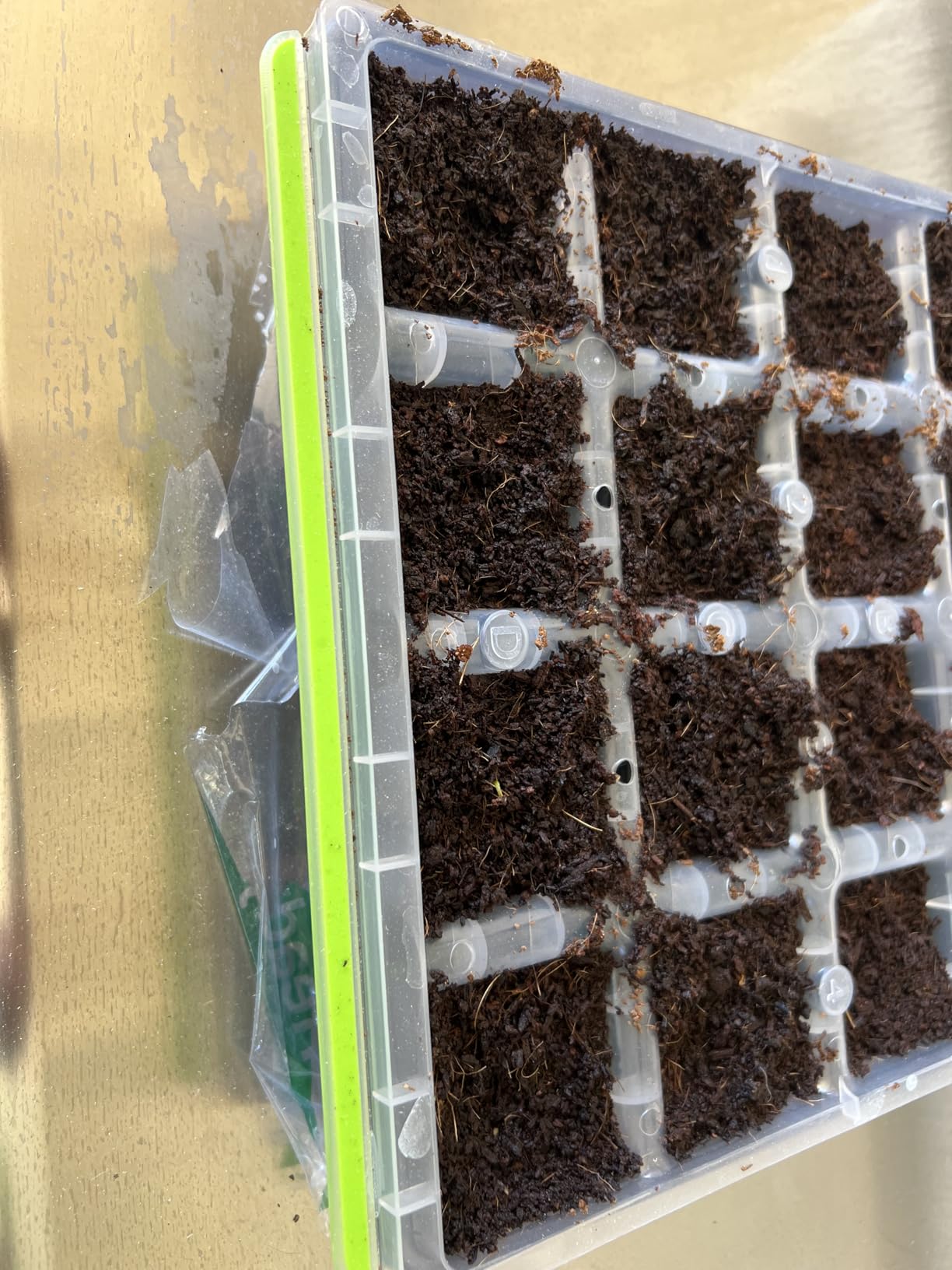 Burpee SuperSeed 36-Cell Reusable Seed Starting Tray for Indoor Seedlings customer photo 1