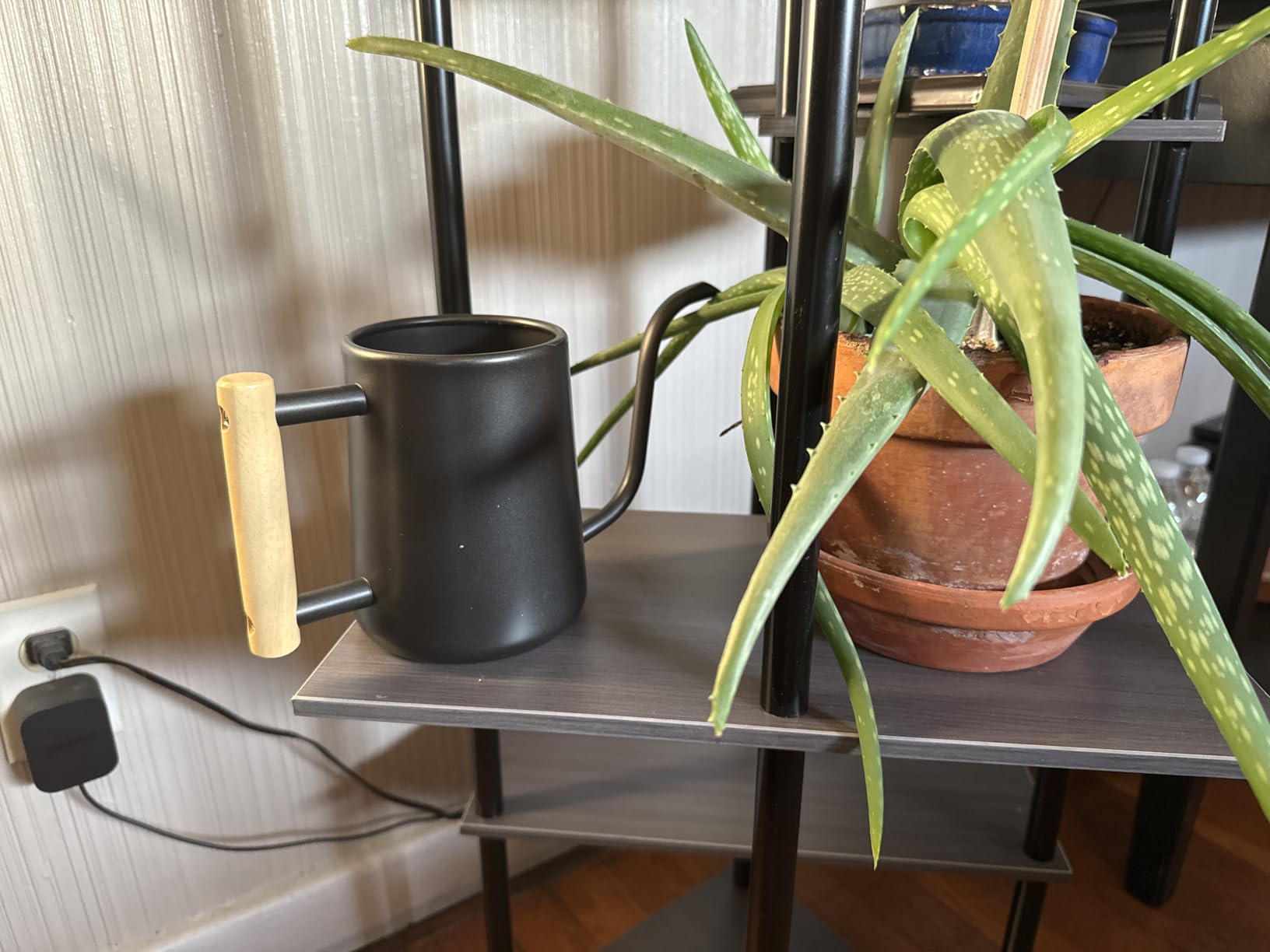 Watering Can for Indoor Plants, 35 oz/1000 ml Metal Stainless Steel Pot with Long Spout for House Plants Bonsai Outdoor Garden Flower Decorative (Black) customer photo 1