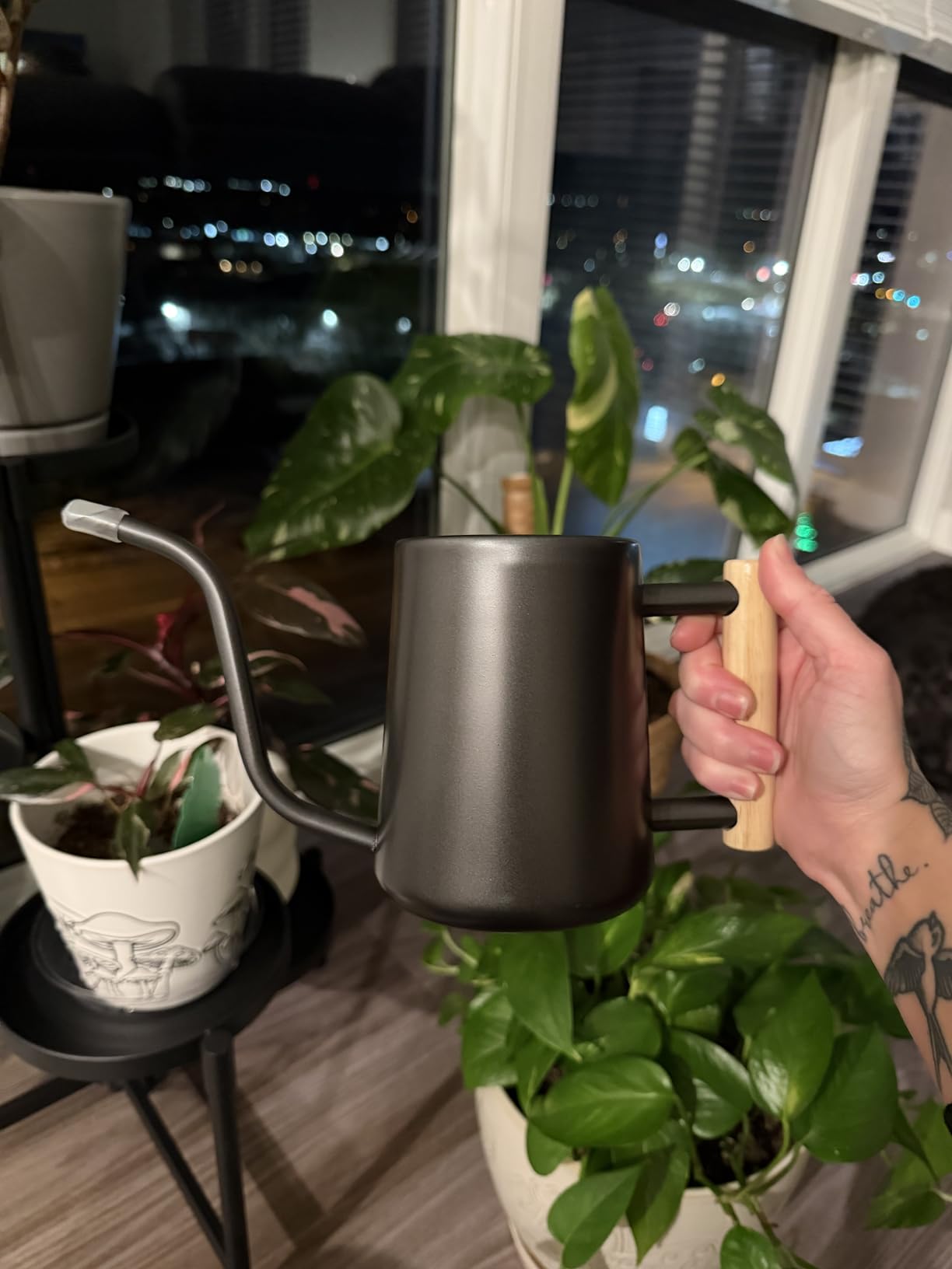 Watering Can for Indoor Plants, 35 oz/1000 ml Metal Stainless Steel Pot with Long Spout for House Plants Bonsai Outdoor Garden Flower Decorative (Black) customer photo 2