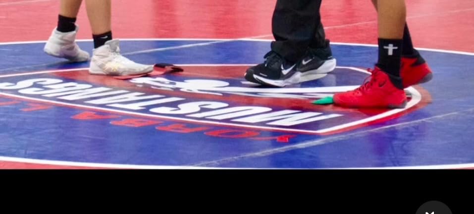 ASICS Men's Split Elite Wrestling Shoes customer photo 2