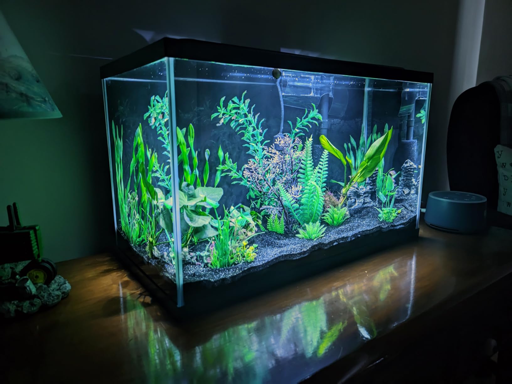 Tetra LED 55 Gallon Complete Fish Tank Kit for Freshwater Fish customer photo 2