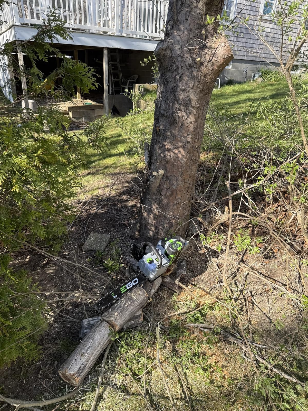 EGO POWER+ Chain Saw, 16” Battery Powered Chainsaw, Electric Cordless, Includes 56V 2.5Ah Battery and Charger – CS1611 customer photo 1