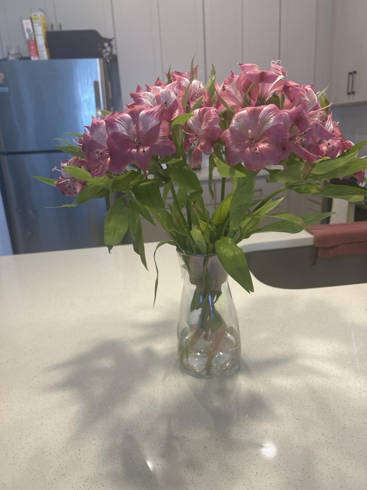 8 Inch Clear Glass Vase for Flowers, Modern Boho Table Decor customer photo 1