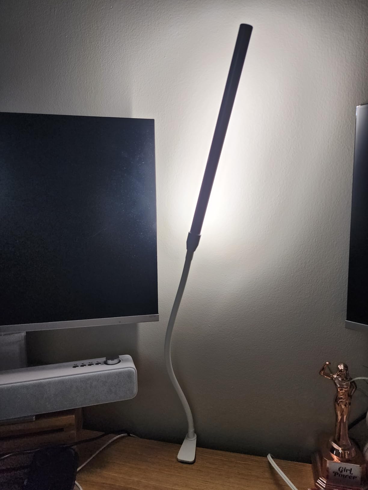 Lepro Clip on Desk Lamp, LED Reading Light with Clamp, 460LM 5W, Black customer photo 2
