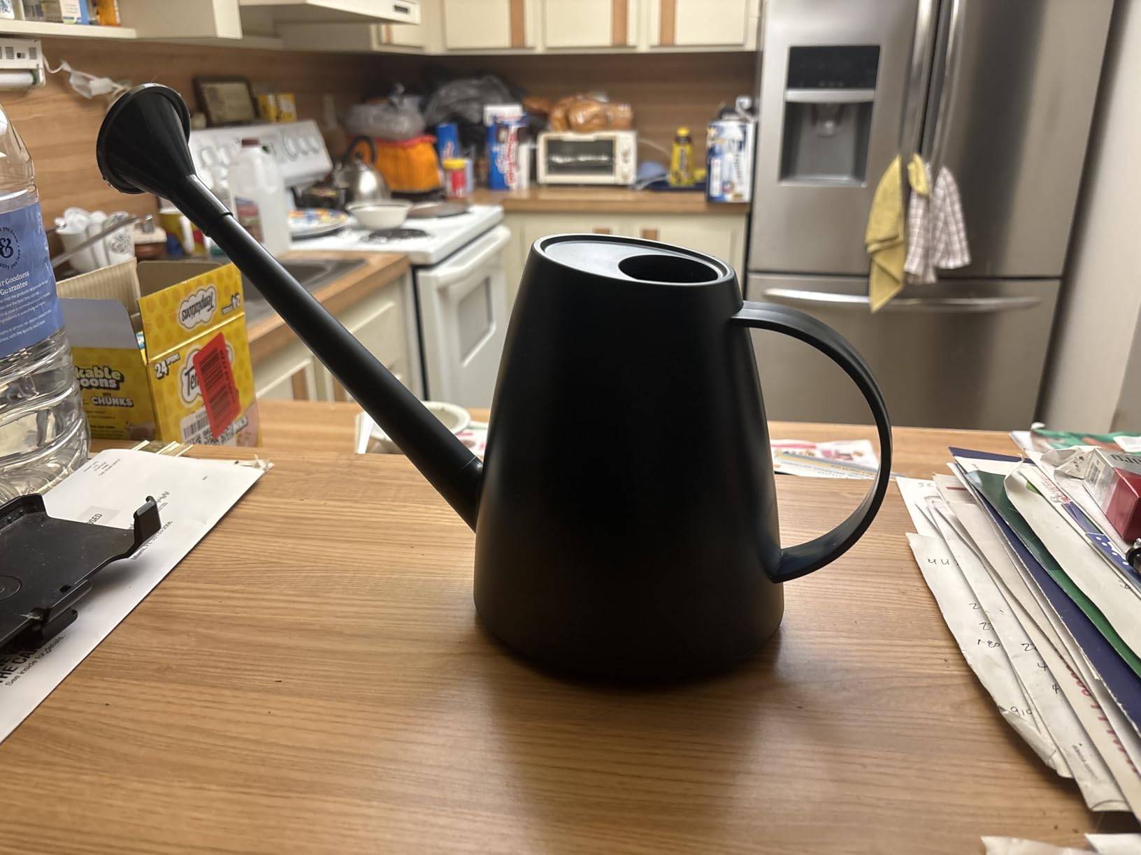 60 oz Watering Can, Small Watering Can for Indoor Plants with Long Spout customer photo 2