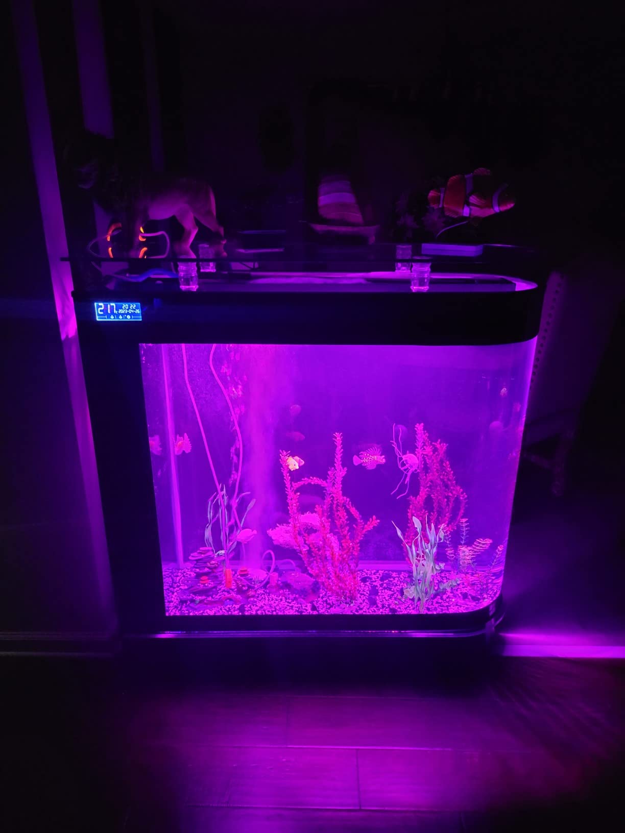 124Gal LED Aquarium Kit Upright Fish Tank Large Glass Fishbowl Glsaa Bar for Patios Living Office Room and Kitchen customer photo 1
