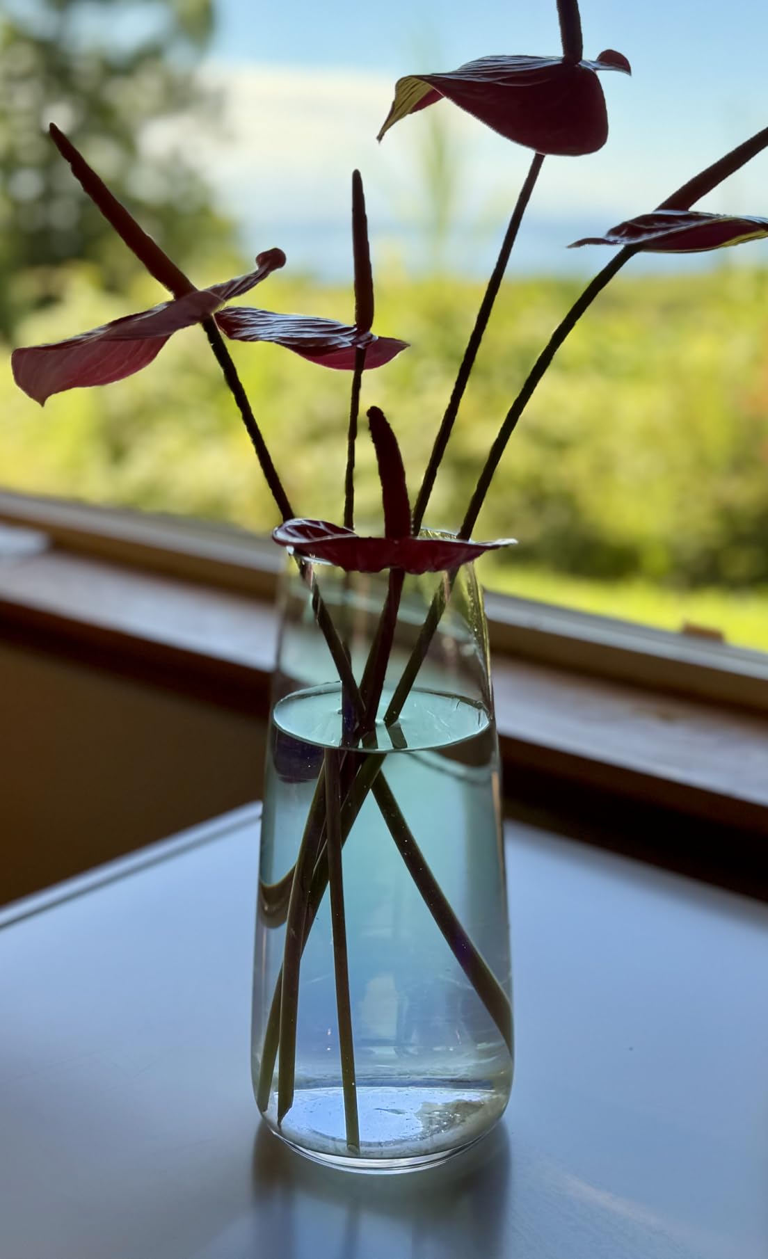 Flower Vase 8.7
